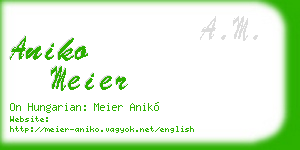 aniko meier business card
